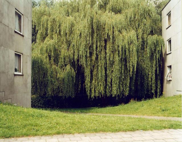 Site II Brussel 2002